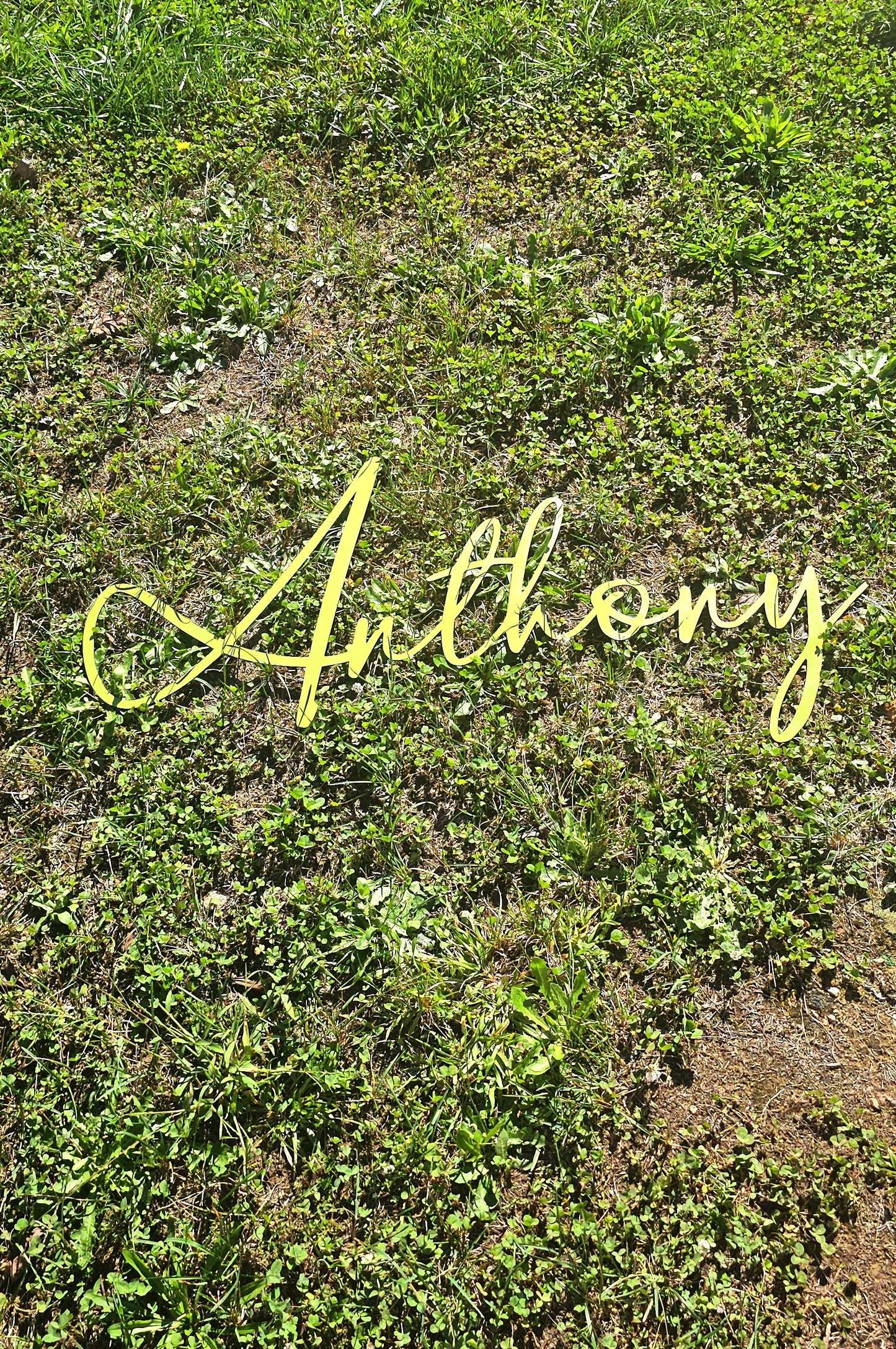 Custom Name and Word Signs!