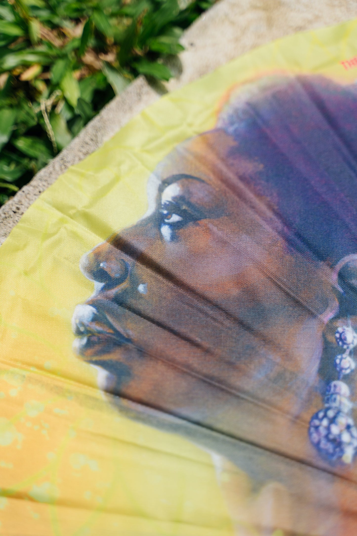 The High Priestess of Soul Fan